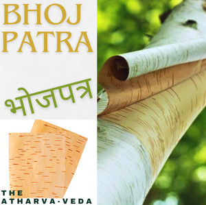 The Atharva-veda 2Pc Original bhojpatra sheet, bhoj patra for yantra, Betula utilis, Bhurjapatra Wooden Yantra