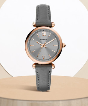 Bq1742ie 2024 fossil watch