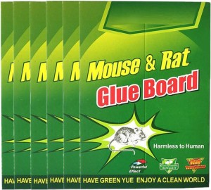 Intruder Speed & Catchy Mouse Glue Trap Pad - Non Toxic, No Smell  (Eco-Small, Pack of 4) Snap Trap Price in India - Buy Intruder Speed &  Catchy Mouse Glue Trap Pad 