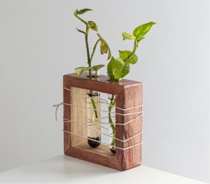 ALISHA HANDICRAAFTS Test Tube Planter with Wooden Base, Hydrophonic Planter  Plant Container Set Price in India - Buy ALISHA HANDICRAAFTS Test Tube  Planter with Wooden Base