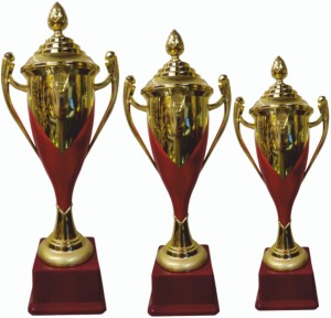 BAREEZÉ PURE (20,18,16 Inch) Trophy for Cricket tournament, Sport, Academy,  Awards, School Trophy Price in India - Buy BAREEZÉ PURE (20,18,16 Inch)  Trophy for Cricket tournament, Sport, Academy, Awards, School Trophy online  at