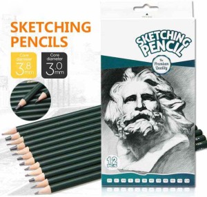 Alitrade Artist Pencil for Sketching Drawing Art Pack of 12 with Metal Case  B 2B 3B 4B 5B 6B 7B 8B HB H 2H F 