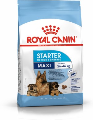 Royal Canin Rottweiler Puppy 3 kg Dry Young Dog Food Price in India - Buy Royal  Canin Rottweiler Puppy 3 kg Dry Young Dog Food online at 