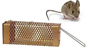 https://rukminim2.flixcart.com/image/300/400/kvgzyq80/rat-trap/2/u/o/rat-mouse-rodent-trap-cage-rustic-copper-samba-8-original-imag8czfrfur9vrj.jpeg?q=90
