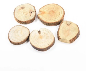 PRANSUNITA Big Size Natural Unfinished Wood Slice 6.5 inch, Round Wood  Discs Tree Bark - Big Size Natural Unfinished Wood Slice 6.5 inch, Round  Wood Discs Tree Bark . Buy Big Size