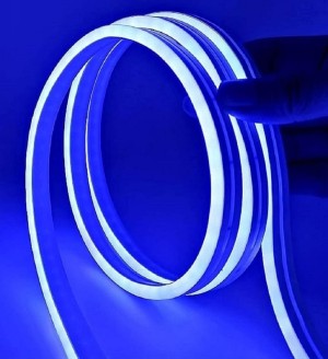 LEDeXTREME LED Neon Rope Light LED Flexible Tube Light 12VDC LED Neon Strip Light IP68 Waterproof, Submersible, Decoration Light, Blue / 25 Feet