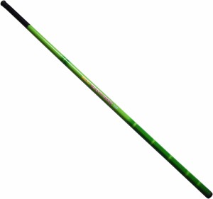 Styleicone reguler 300 rod 001 3.0 mtr 01 Green Fishing Rod Price in India  - Buy Styleicone reguler 300 rod 001 3.0 mtr 01 Green Fishing Rod online at