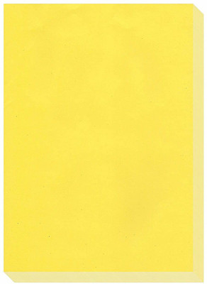 Flipkart ESCAPER Lemon Colour Paper A4 Size Bundle 80 Sheets Pack 297mm x 210mm Unruled A4 75 gsm A4 paper A4 paper