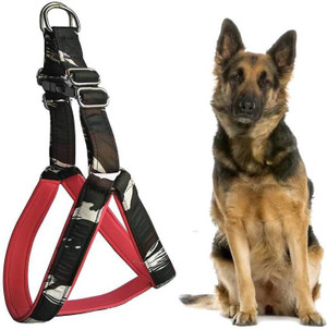 Chest belt dog on sale