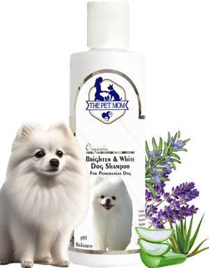 MOW Whitening and Color Enhancing MINTY Dog Shampoo Price in India Buy MOW Whitening and Color Enhancing MINTY Dog Shampoo online at Flipkart