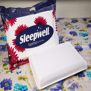 Sleepwell flexi puf pillow online