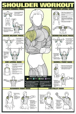 shoulder workout chart for men