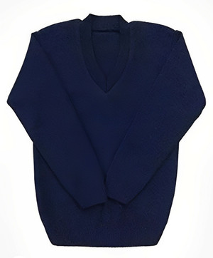 School blue sweater outlet