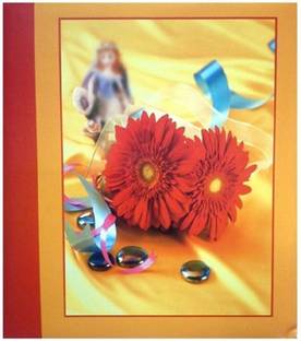 NATRAJ 200 Pocket - Size 5 X 7 inch Album