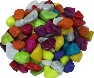 Jainsons Decorative Pebbles Stones River Rock Unplanted Substrate