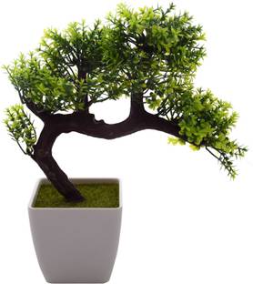 Hyperboles Bonsai Wild Artificial Plant  with Pot