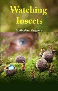 Watching Insects (Colored)