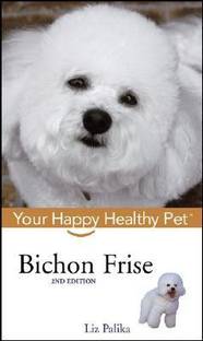 Bichon Frise