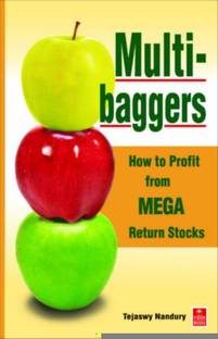 Multibaggers: How to Profit from MEGA Return Stocks