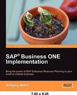 SAP Business ONE Implementation