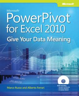 Microsoft Powerpivot for Excel 2010
