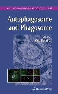 Autophagosome and Phagosome 1st  Edition