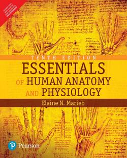 Essentials of Human Anatomy and Physiology 10 Edition