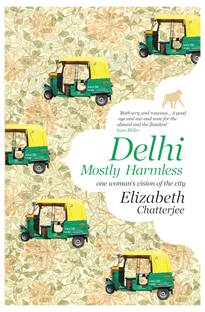 Delhi  - One Womans Vision of the City