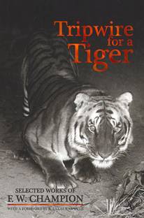 Tripwire for a Tiger