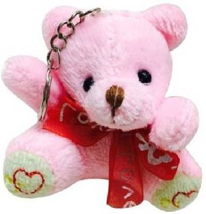 पार्क Pink & White Teddy की-चेन