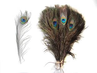 Jetlink Pack of 10 Decorative Feathers