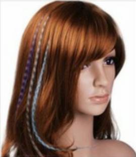 Air Flow 12 Feather  Extension Hair Extension