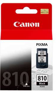 Canon PG 810 Ink Cartridge