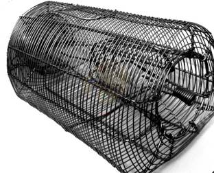 AgroVet Catch Rat or Mouse