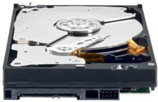 WD 1 TB Black Desktop Internal Hard Drive (WD1002FAEX)