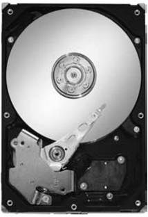 Seagate Pipeline SATA 160 GB Desktop SATA Internal Hard Disk Drive (HDD) (ST3160215ACE)