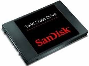 SanDisk SSD 256 GB Laptop SATA Internal Solid State Drive (SSD) (SDSSDP-256G-G25)