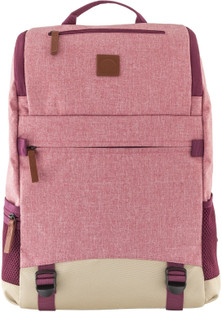 delsey maubert backpack