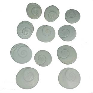 Rudra Natural Gomti Chakra-11 piece Decorative Showpiece  -  1 cm