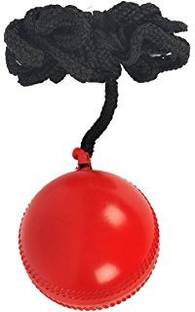 Sterling cricket hanging ball Cricket Training Ball