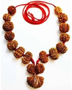 AJ 20 mm Siddha Rudraksha Mala (1-14 Mukhi, Ganesh and Gauri Shankar) Dori Necklace