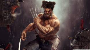 wolverine artwork wallpaper on quality paper 13x19 Paper Print