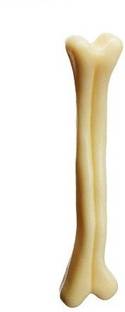 SCOOBEE jeewan dog nylex medium toy bone Plastic Chew Toy For Dog