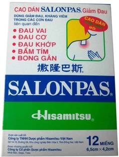 Salonpas Plaster Pain Relief Patch (12 Patches) Plaster & Patch