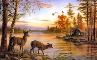 Painting poster of beautiful deer drink water from lake FINE ART PAPER HD WALLPAPER POSTER Fine Art Print