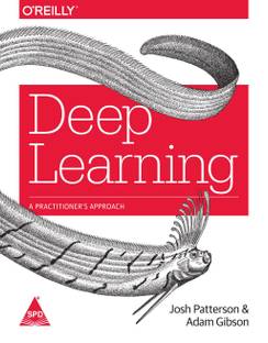 Deep Learning: A Practitioner's Approach
