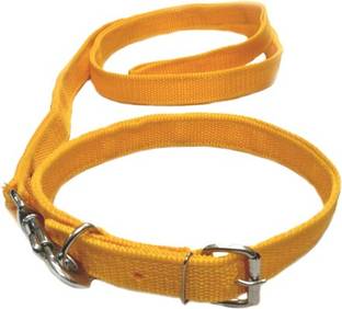 SOLLAR'S Dog Collar & Leash