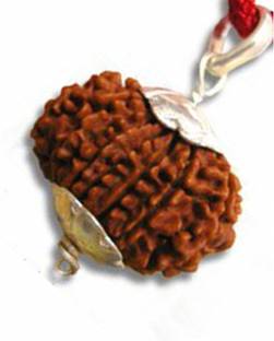 kartik gems 13 mukhi rudraksha with locket and pendant (13 face ) 100% original with certification Silver Silver Pendant