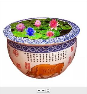VS GLOBAL IMPORTED LOTUS HOME ORNAMENTAL PLANT(20 PER POCKET) Seed