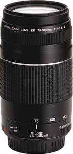Canon Ef 75 300mm F 4 5 6 Iii Telephoto Zoom Lens Reviews: Latest ...